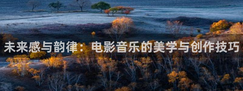 久久视频都是精品