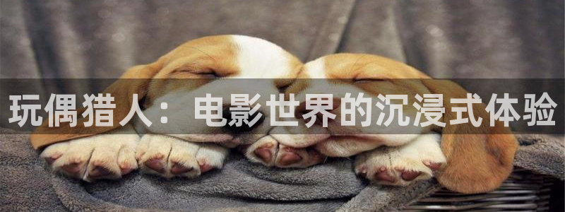 国产激情影院久久久