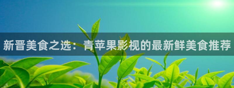 久久久久久国产精品嫩模综合影院