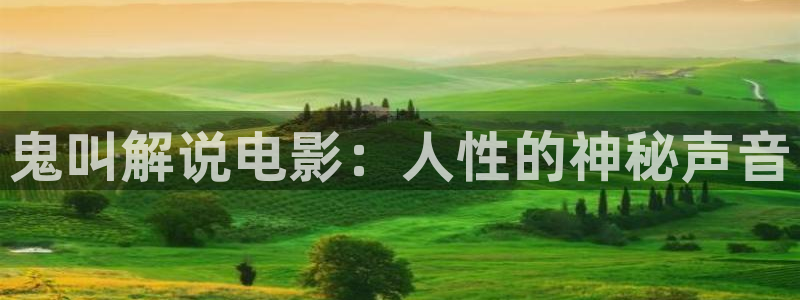 久久视频黑人