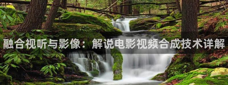 久久视频这里只有极品