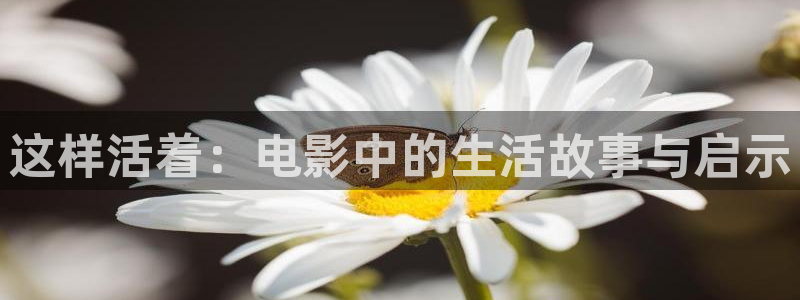 久草久久视频
