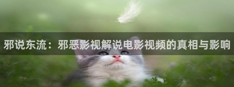 久久久久午夜电影