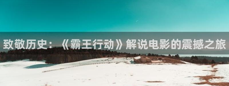 精品久久久电影网