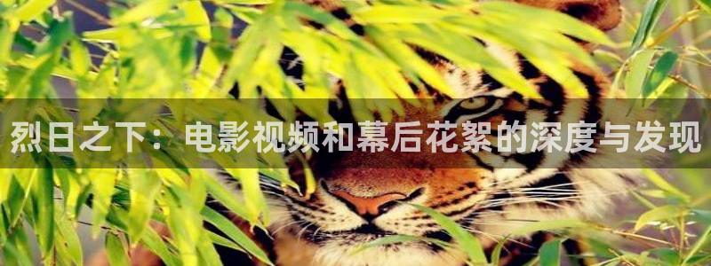 啊久久视频