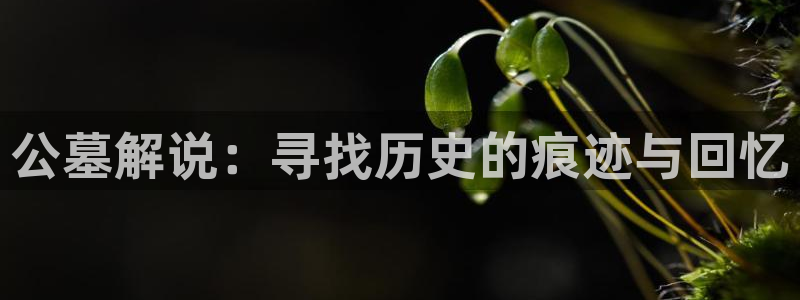 久久视频在线免费观看