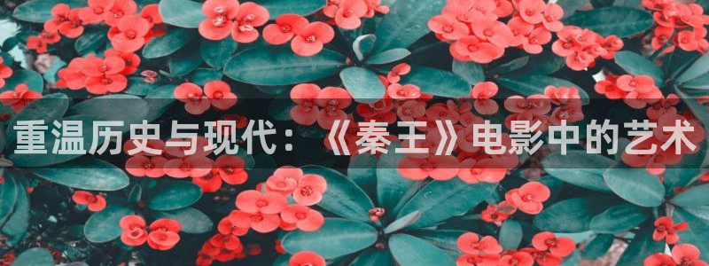 久久视频精彩