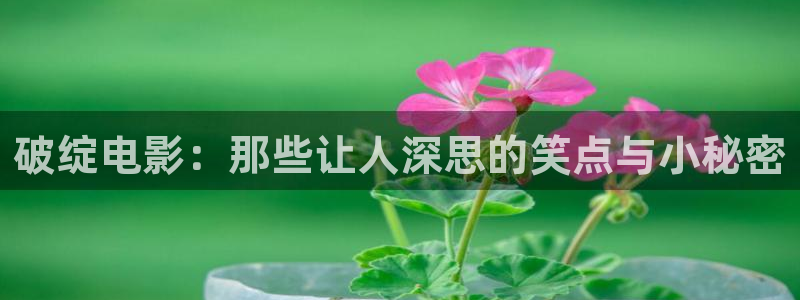 久久视频33