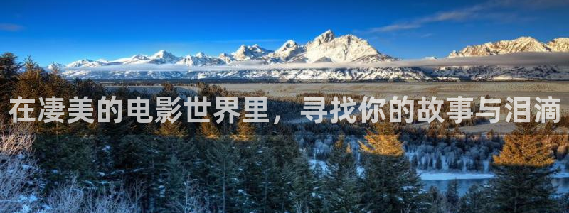 久久久久精品免费极品免费大片