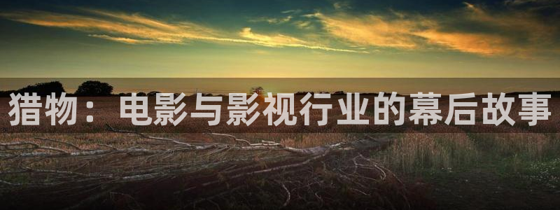 国产艳遇久久久久久久精品电影