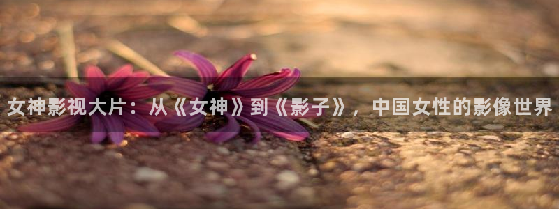 久久久久视频.