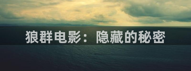 久久视频观看在线