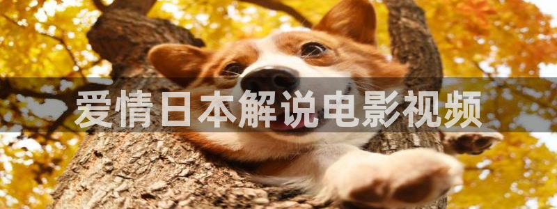 久久久影院,午夜家庭影院