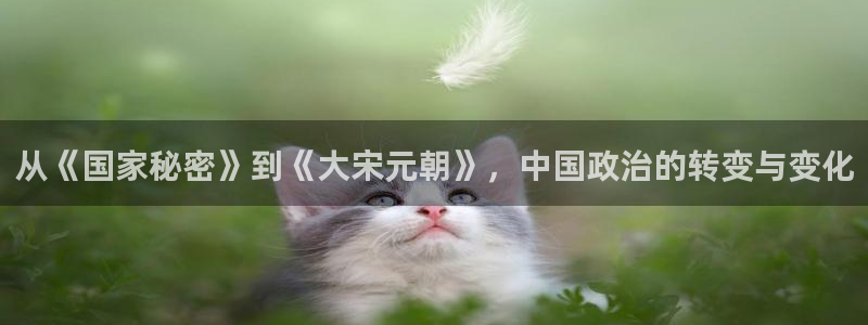 久久视频免费视频