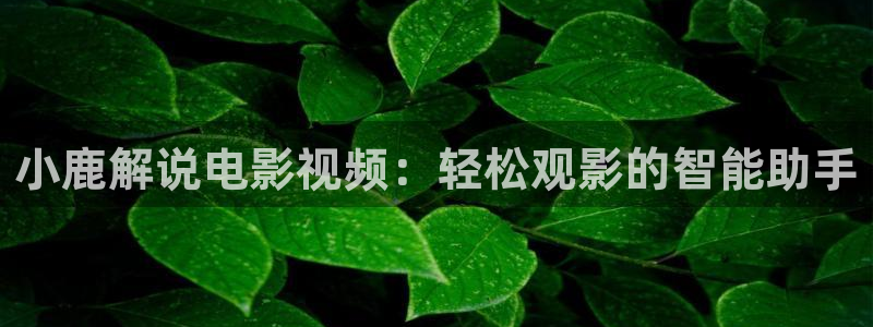 精品久久久久影视
