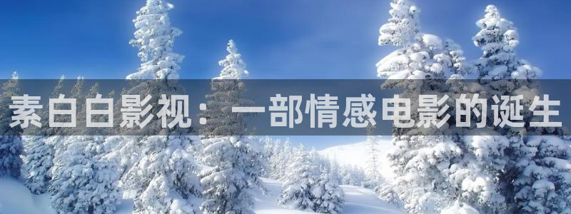 国内精品伊人久久久久影院对白