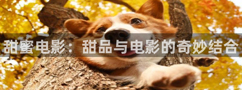 视频久久久久久