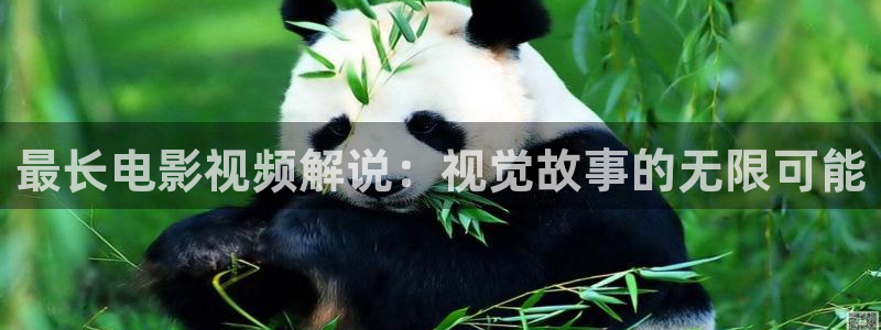 久久视频精品在线