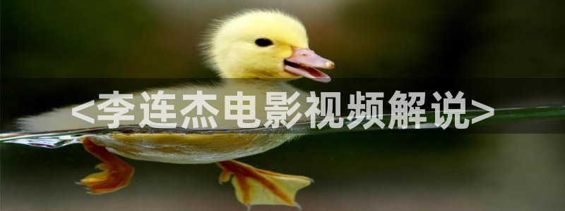 午夜理伦片久久久久