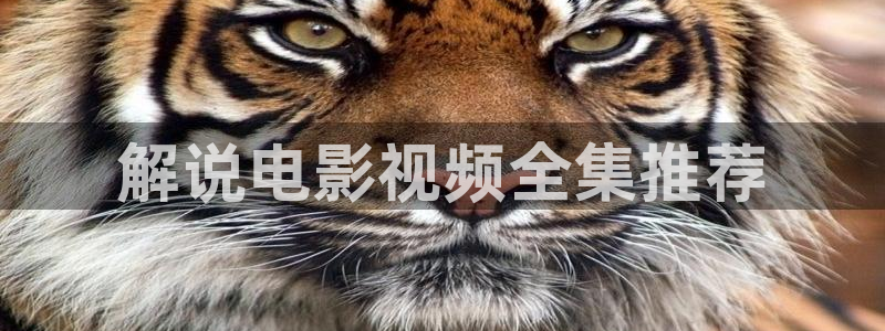 www.久久久久影院