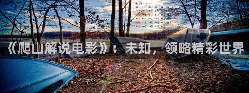 久久视频视频