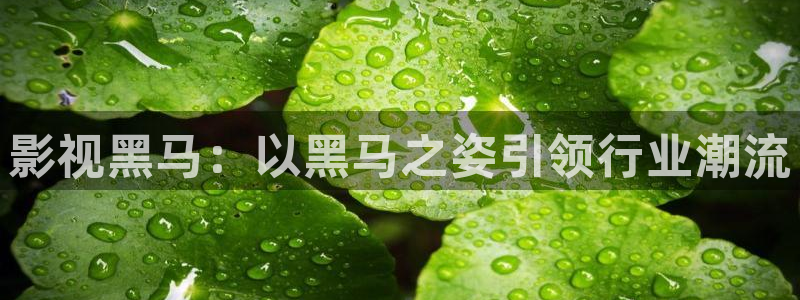 久久久视频免费