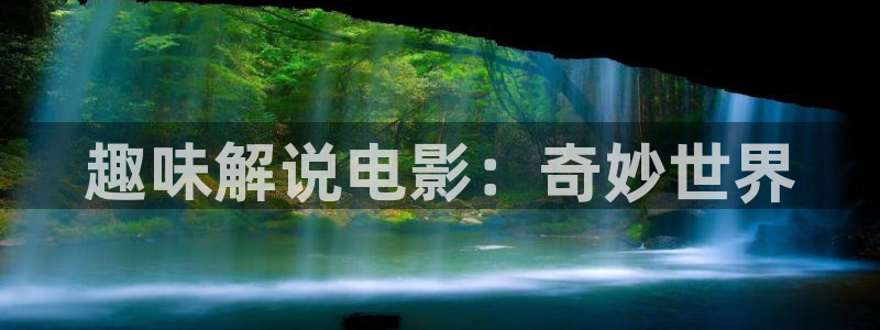 精品久久久久久电影网