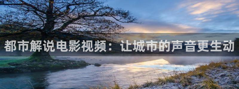 久久久久久影院久久影院