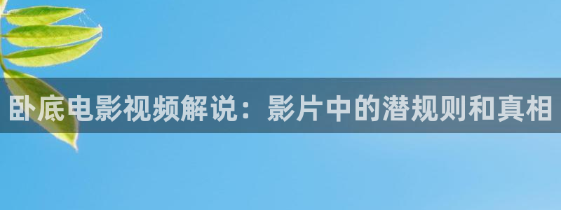久久久久久爱视频