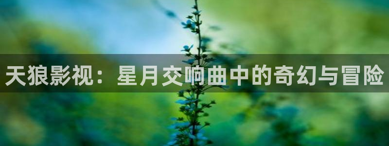 99视频久久视频