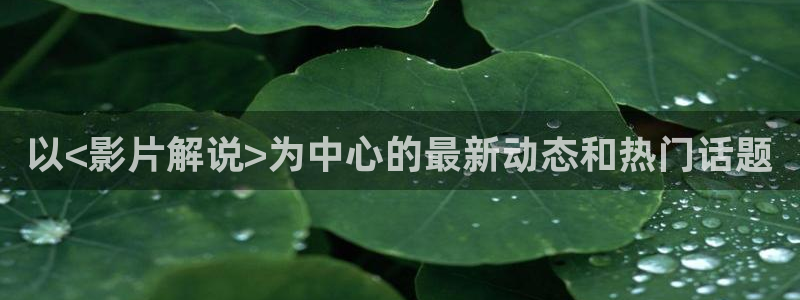 j午夜精品久久久久毛片