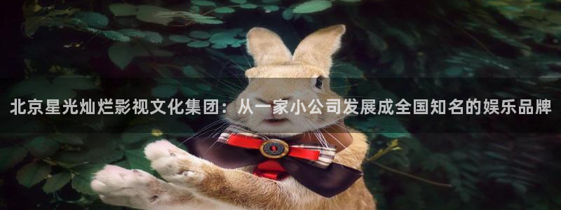 国产精品久久久久久久久精品电影
