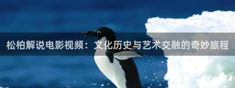 久久久久免费高清视频