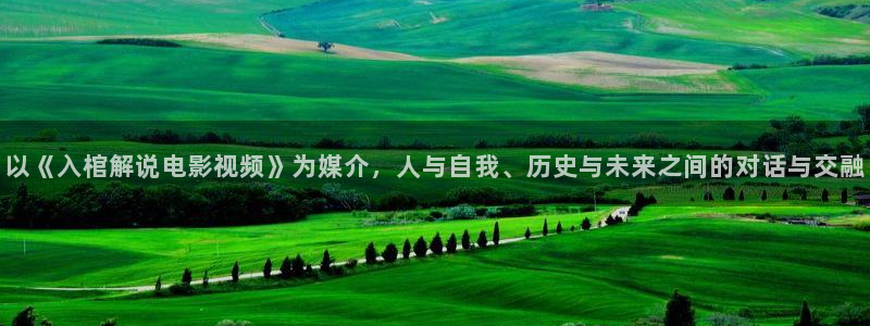 久久视频高清
