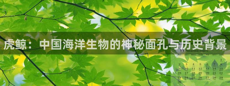 日韩精品久久久久久久电影蜜臀