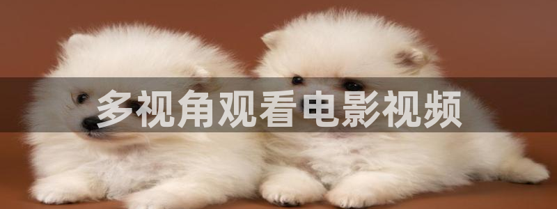 久久视频视频