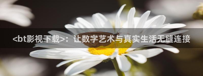 精品国产97久久久久久观看高清