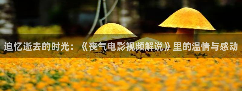 久久久久免费精品电影