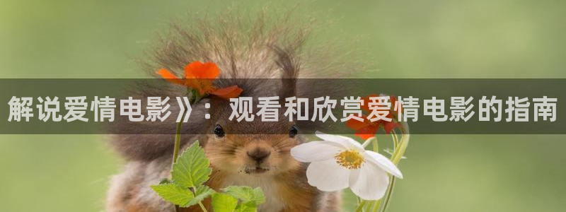 热久久视频免费