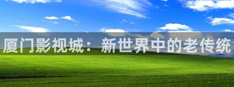 久久久久久久久影视