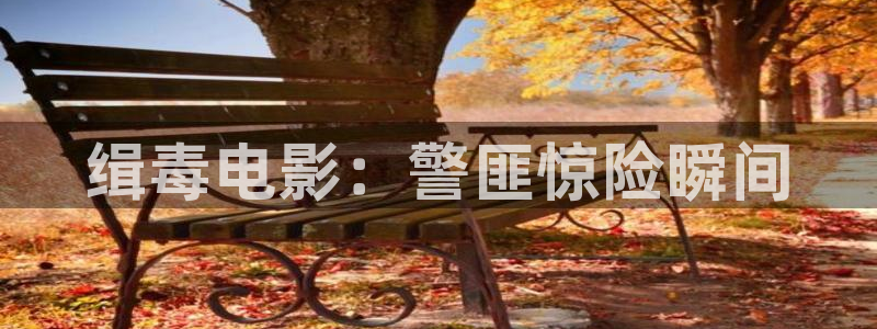 久久视频日韩