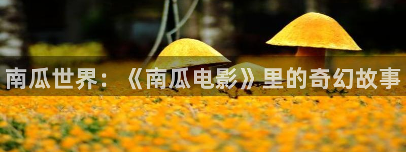 久久视频这里有精品33