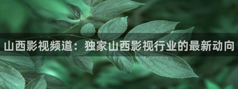 久久视频a