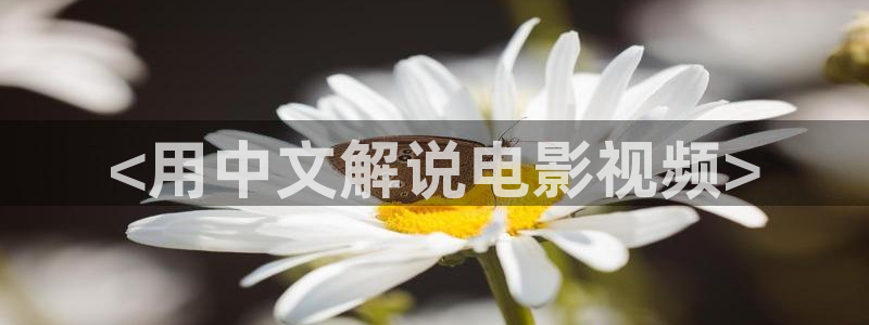 久久视频最新网址