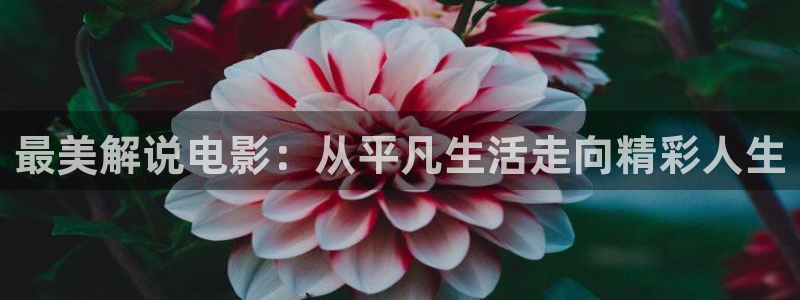 久久久福利影院