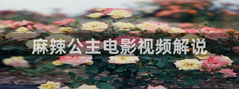 99国产精品久久久久影院