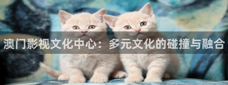 久久视频呀