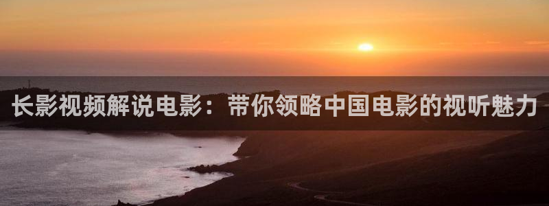 久久视频区