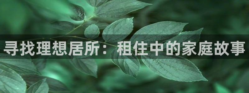 久久视频首页