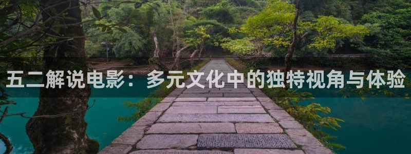 在线观看久久视频
